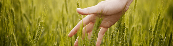 Рука в зеленой траве